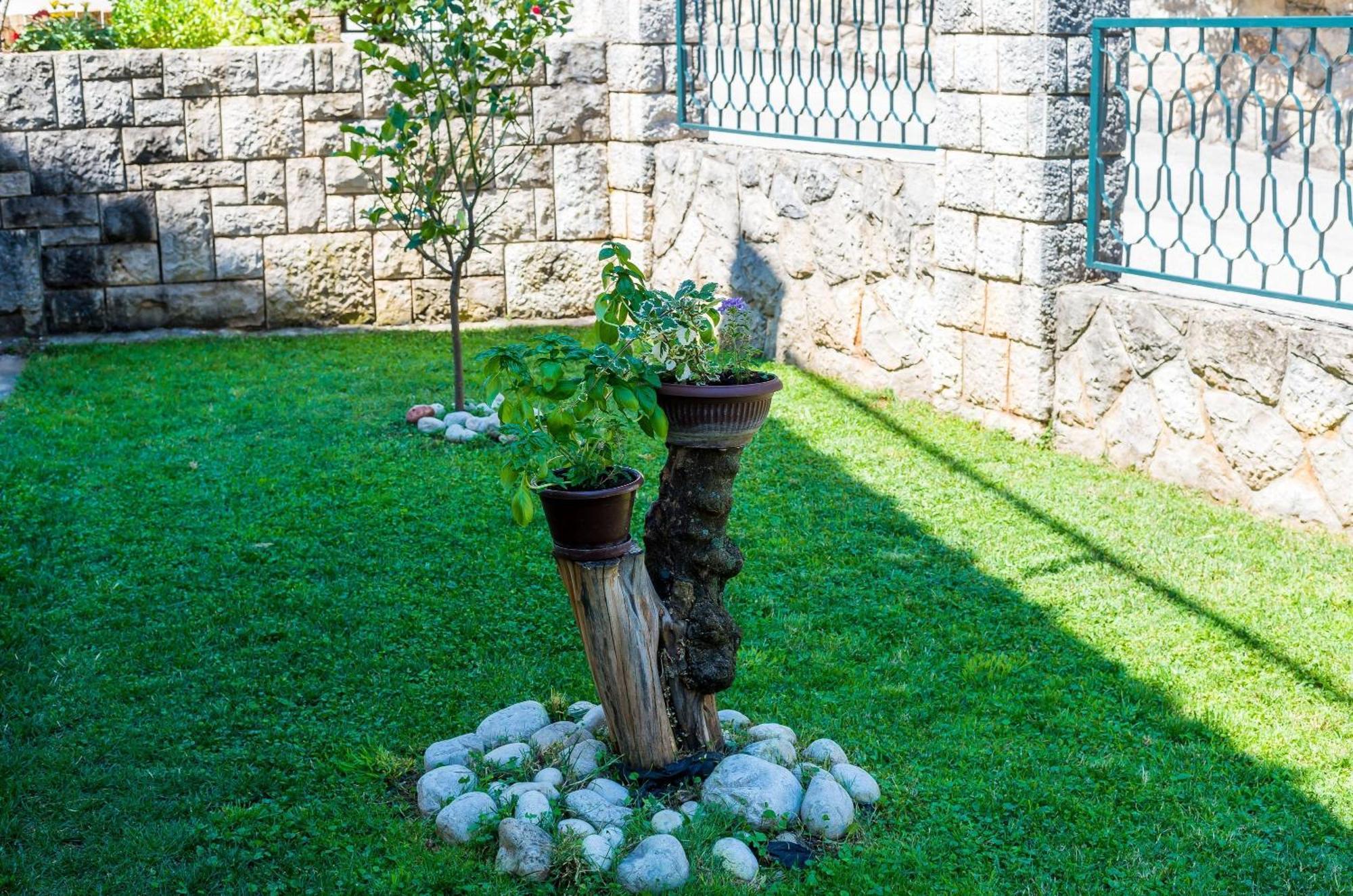 Apartments Garden-Cavtat Ngoại thất bức ảnh